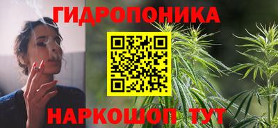 индика Бузулук